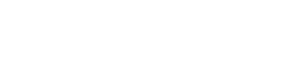 Abacus Consulting